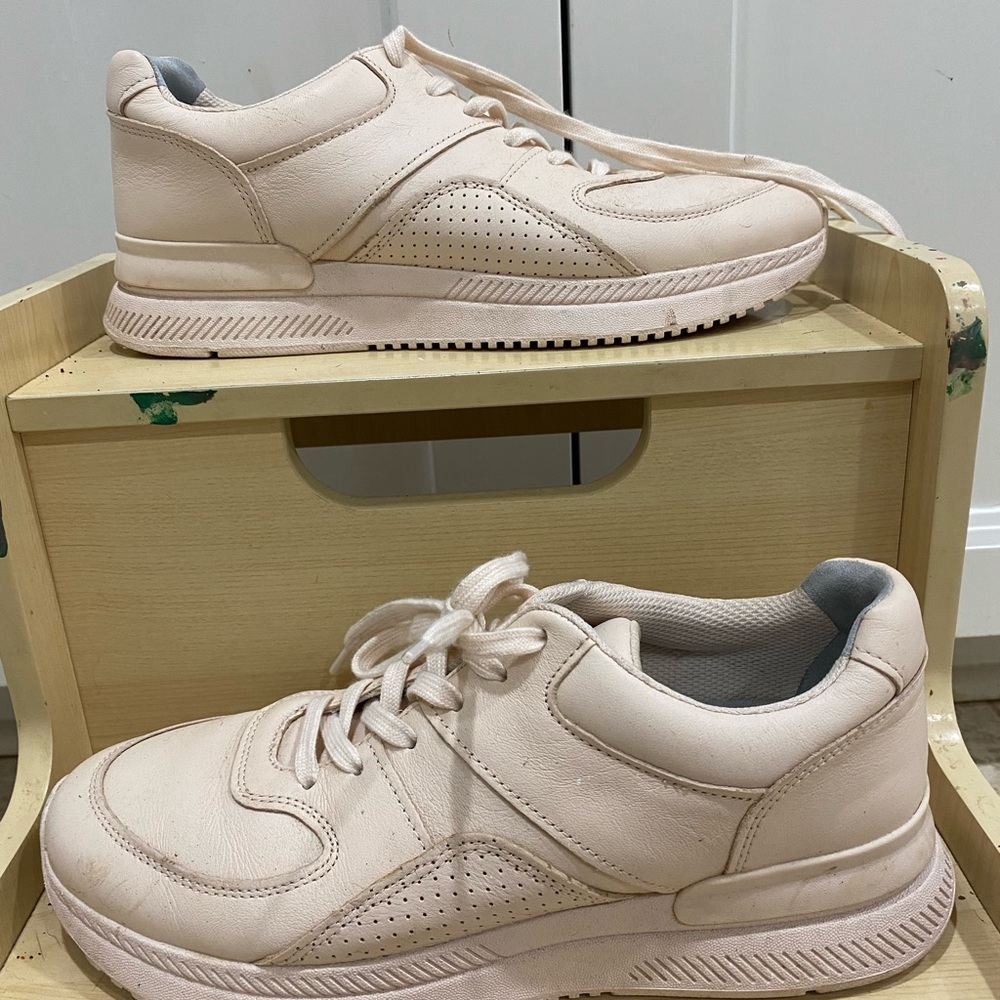 Everlane sneakers